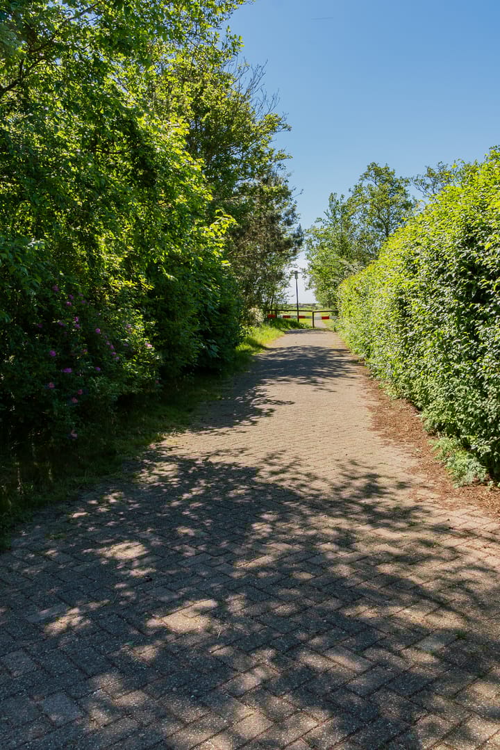 Photo 31 of Rijspolder 54