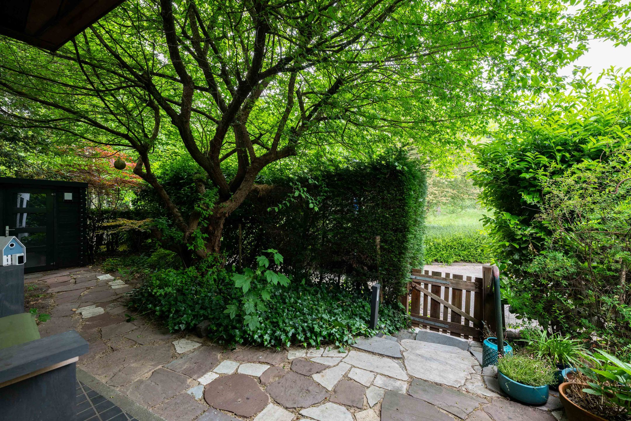 Foto 6 van Onderlangs 1