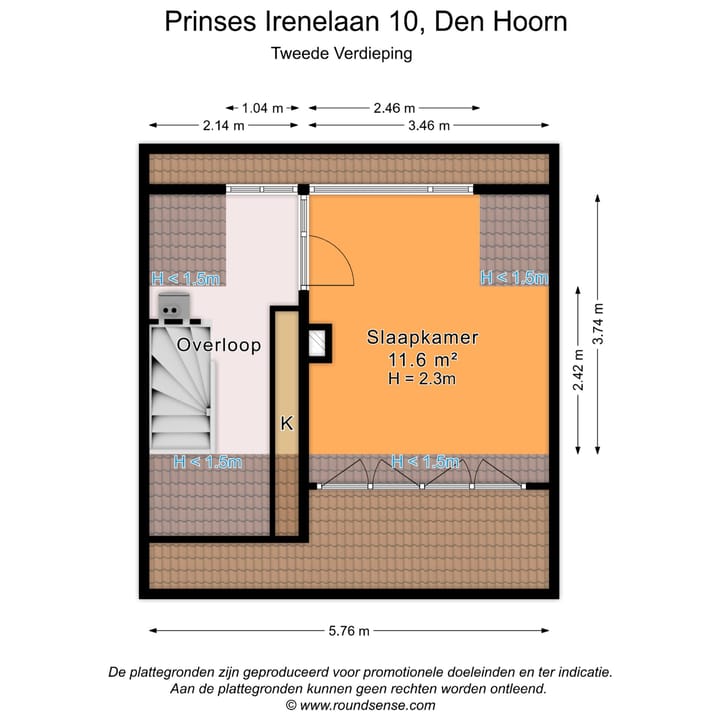 Foto 37 van Prinses Irenelaan 10
