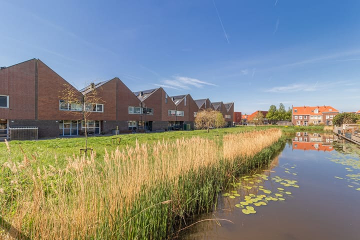 Foto 34 van Maneschijn 31