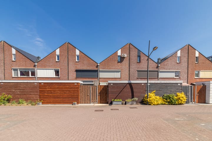 Foto 37 van Maneschijn 31