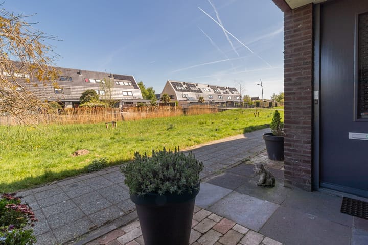 Foto 39 van Maneschijn 31