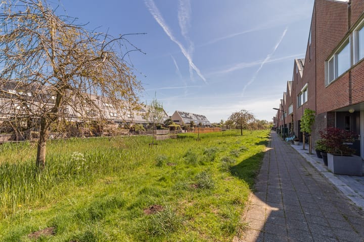 Foto 40 van Maneschijn 31