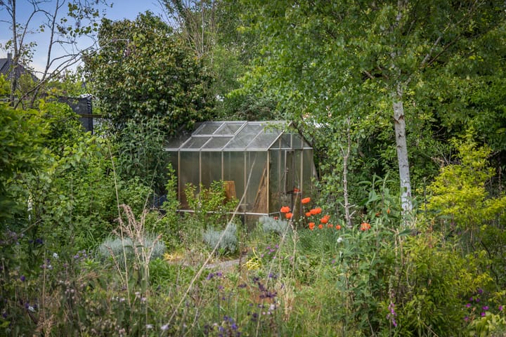 Foto 31 van Wechelerweg 13