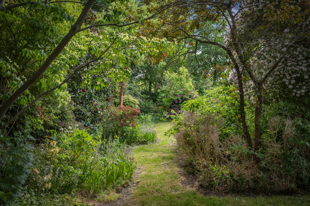 Foto 32 van Wechelerweg 13