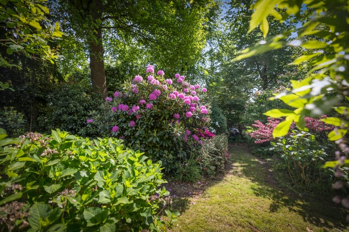 Foto 34 van Wechelerweg 13