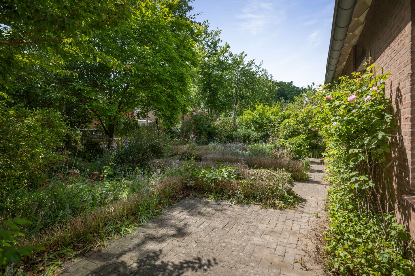 Foto 35 van Wechelerweg 13