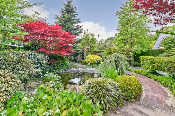 Photo 29 of Platboslaan 16