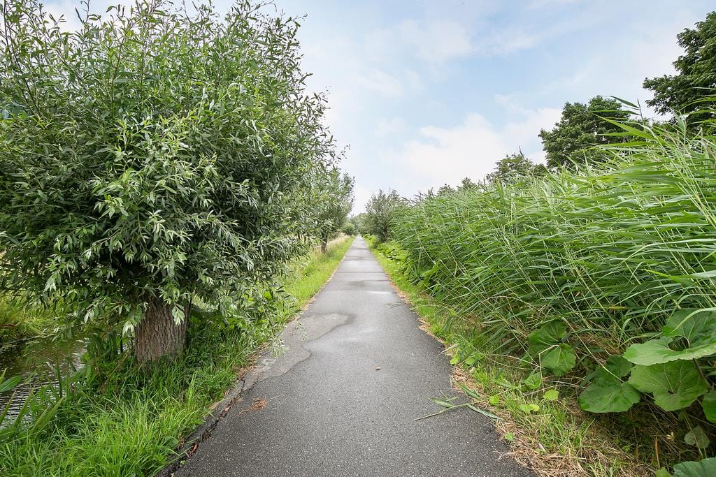 Foto 44 van Wijde Wormer 135