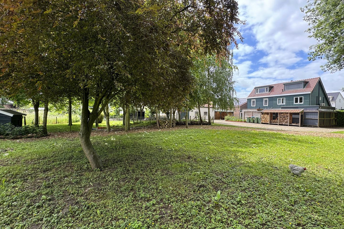 Foto 79 van Stadsedijk 6