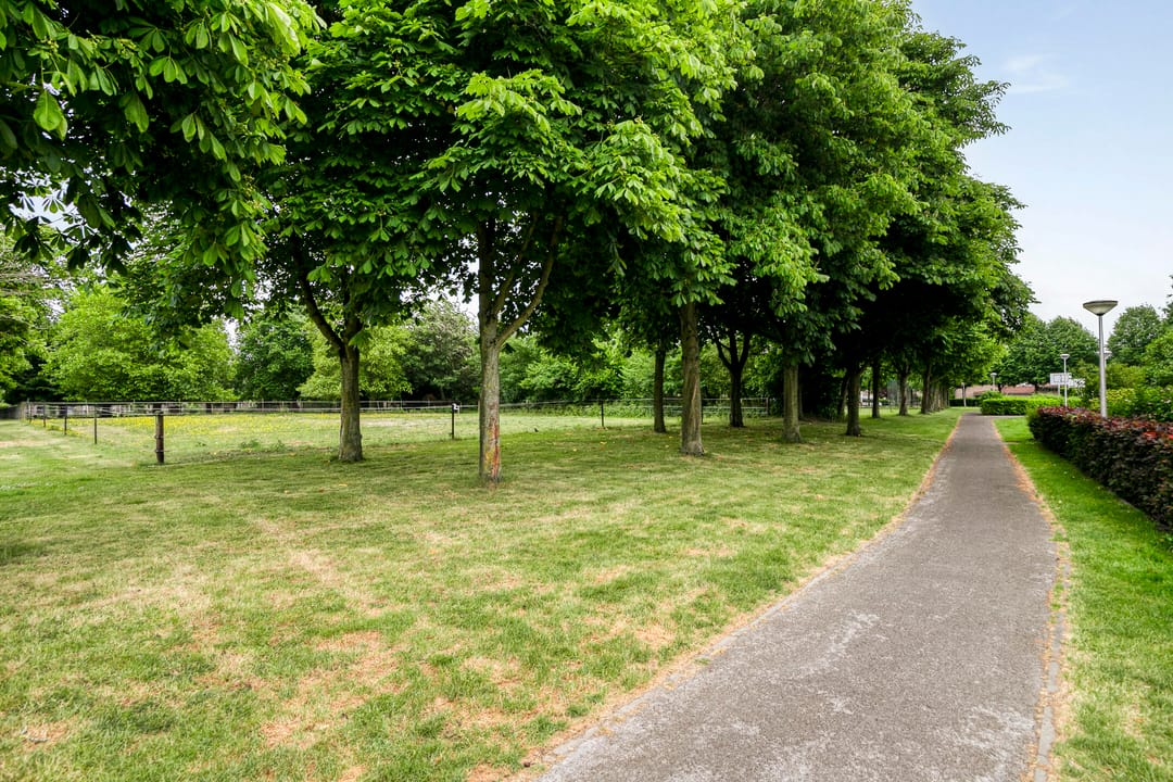 Foto 32 van Kastanjelaan 17