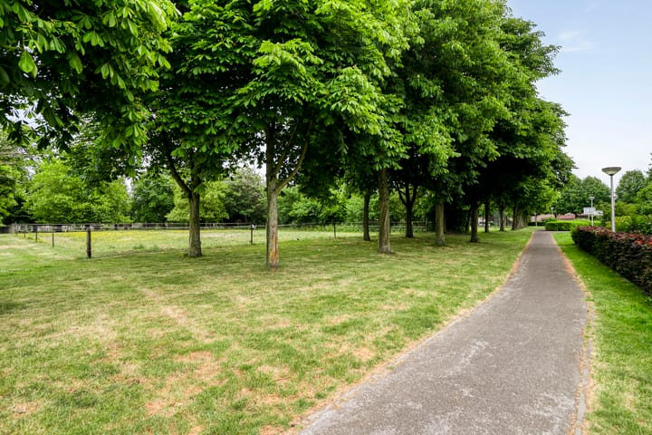 Foto 32 van Kastanjelaan 17