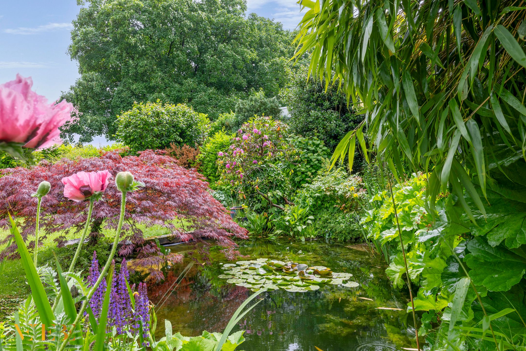 Foto 24 van Schuttersweide 9