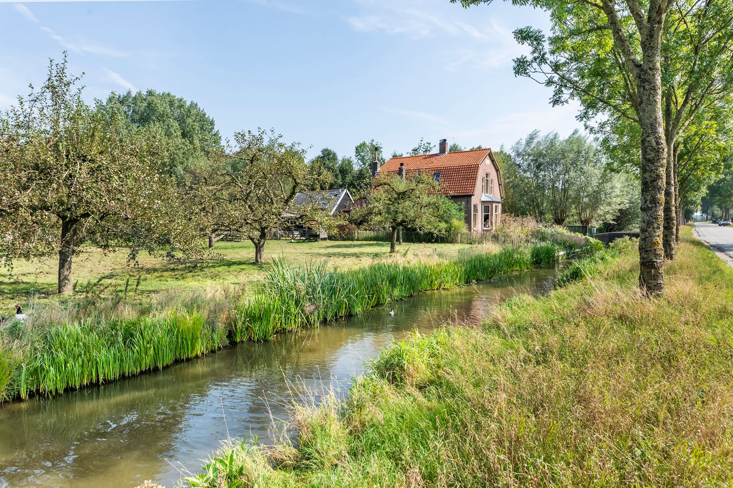 Foto 4 van Overboeicop 8