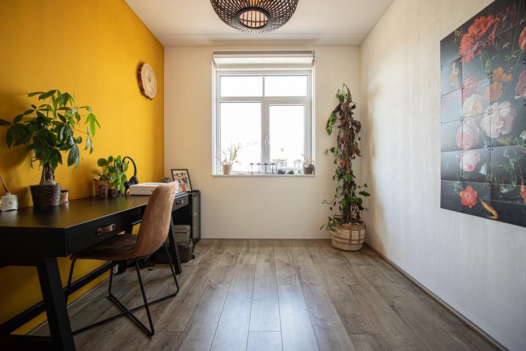 Foto 5 van Staaldraad 38