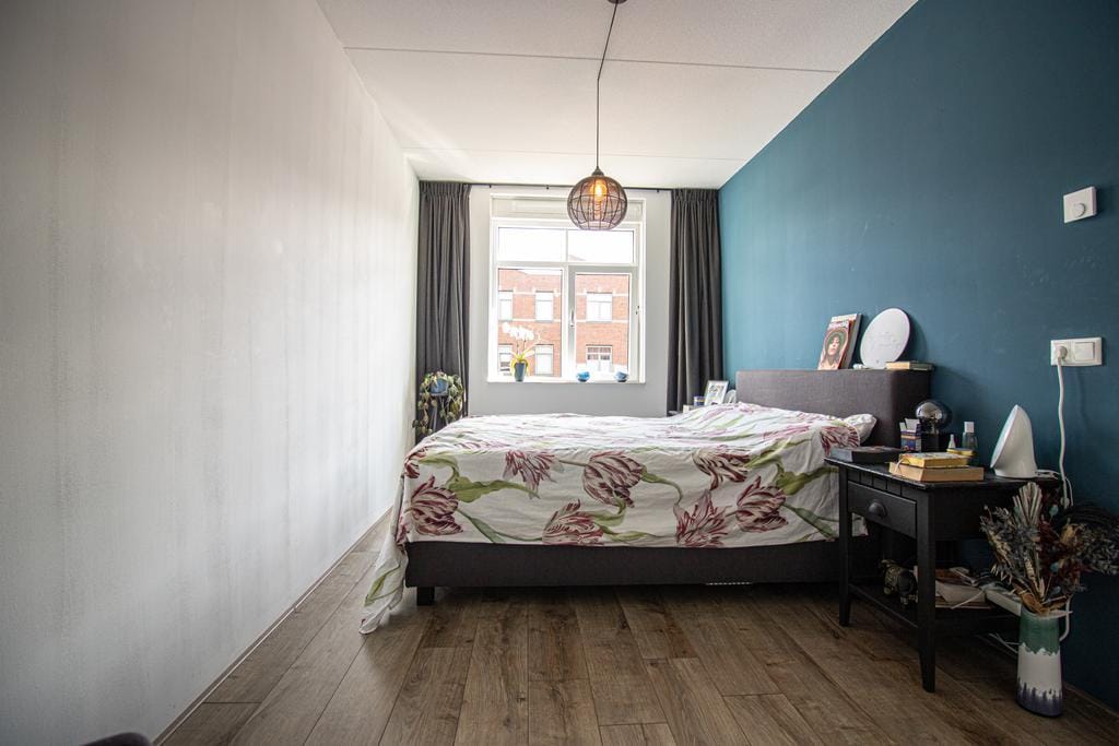 Foto 6 van Staaldraad 38