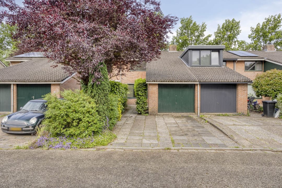 Foto 1 van Waterkers 24