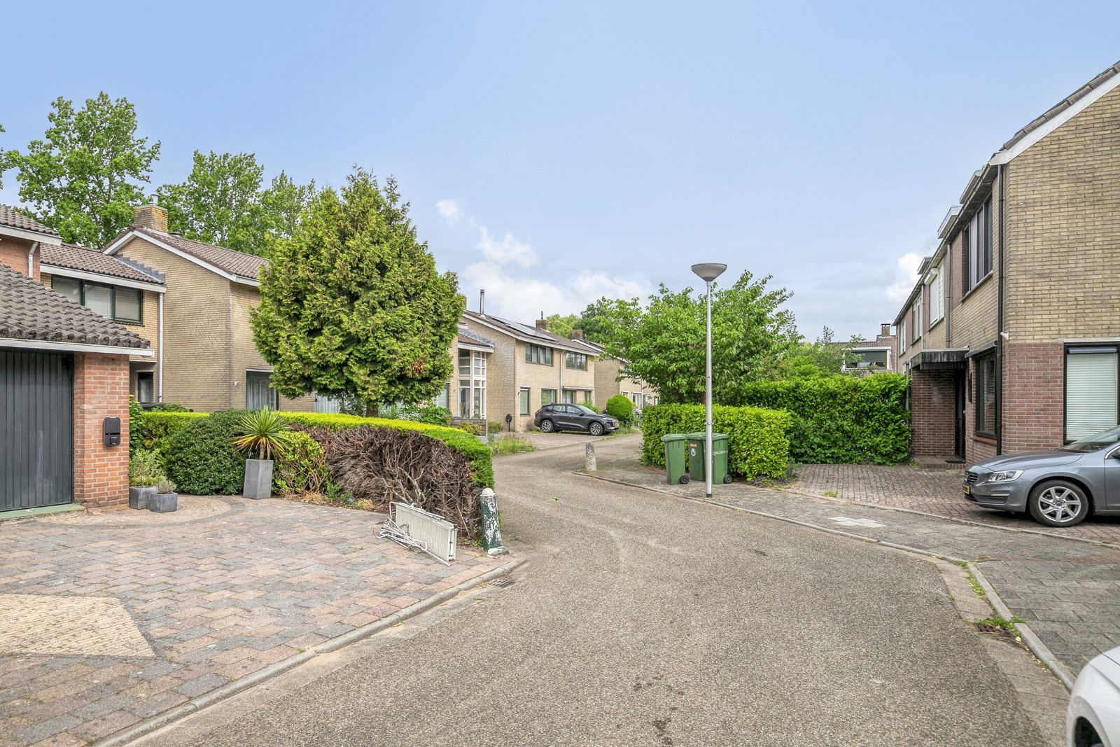 Foto 3 van Waterkers 24