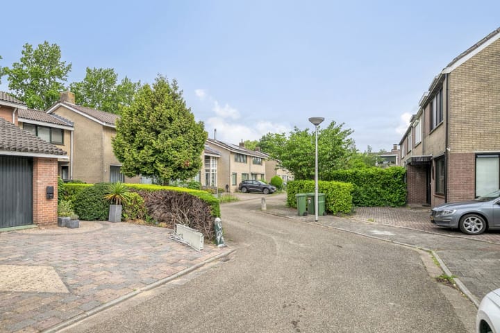 Foto 3 van Waterkers 24