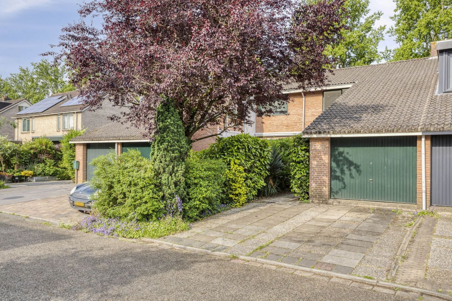 Foto 4 van Waterkers 24