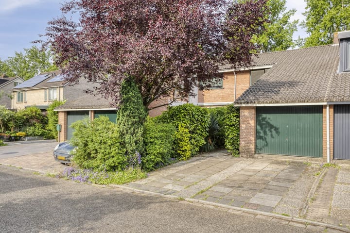 Foto 4 van Waterkers 24