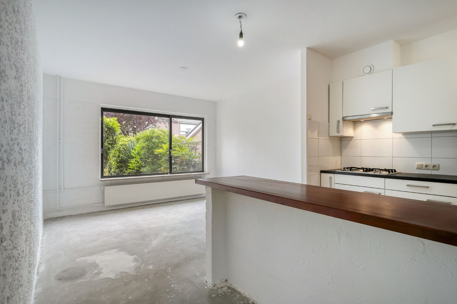 Foto 9 van Waterkers 24