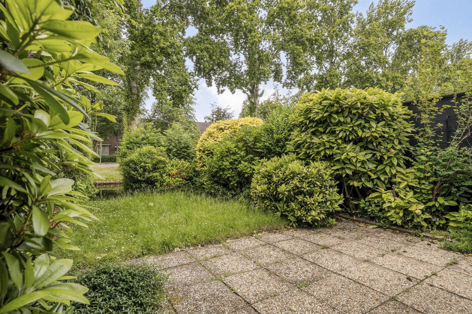 Foto 21 van Waterkers 24