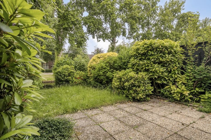 Foto 21 van Waterkers 24