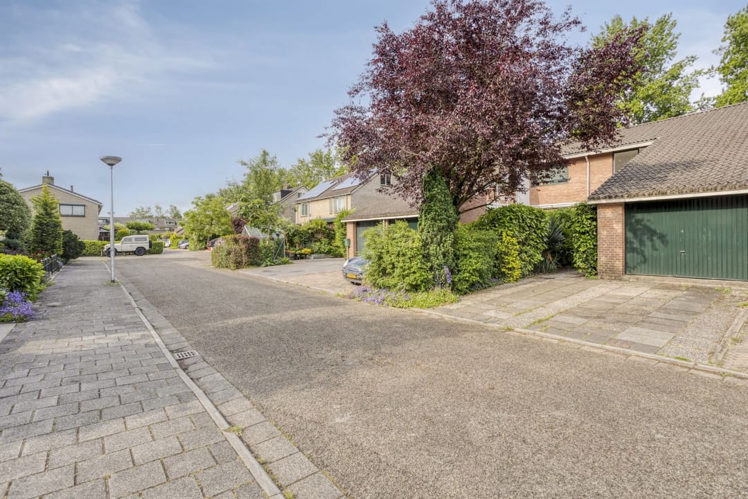 Foto 23 van Waterkers 24