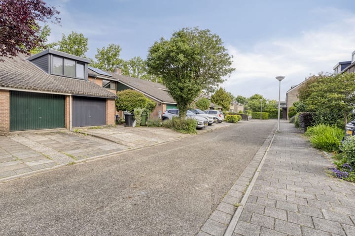 Foto 24 van Waterkers 24