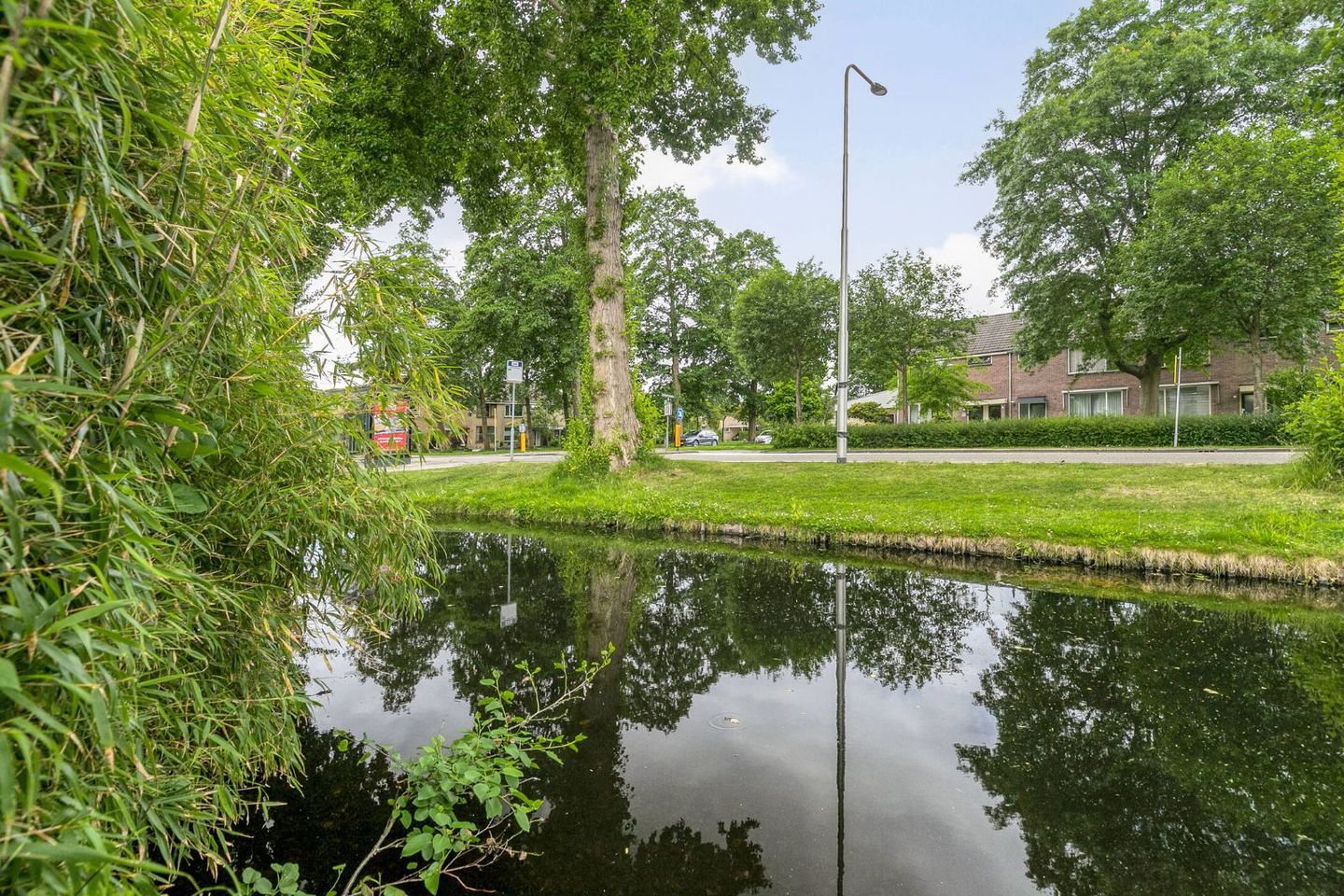 Foto 25 van Waterkers 24