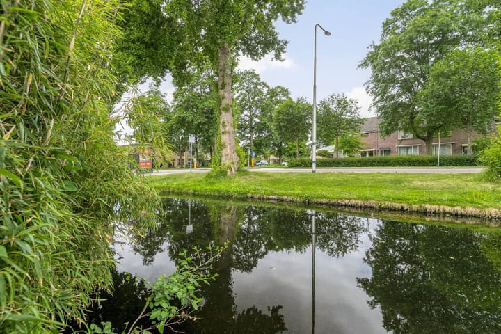 Foto 25 van Waterkers 24