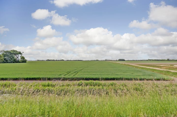 Foto 3 van Oudebildtdijk 300