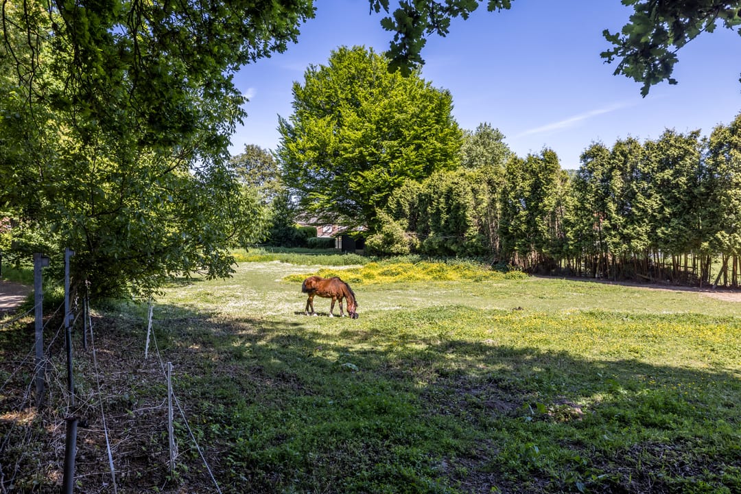 Foto 31 van Plein 20