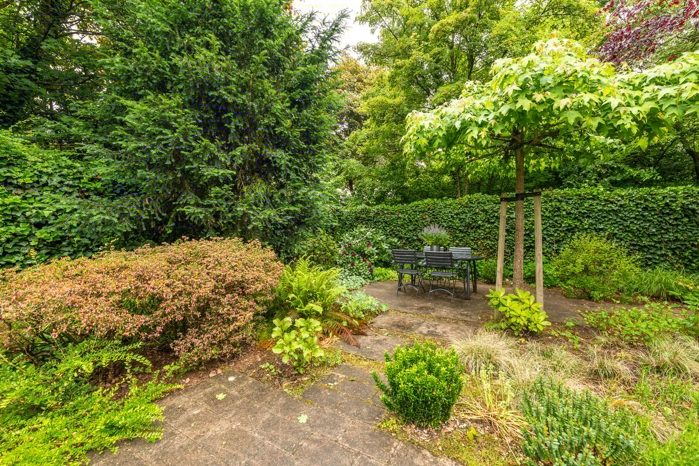 Foto 29 van Couwenhoven 9026