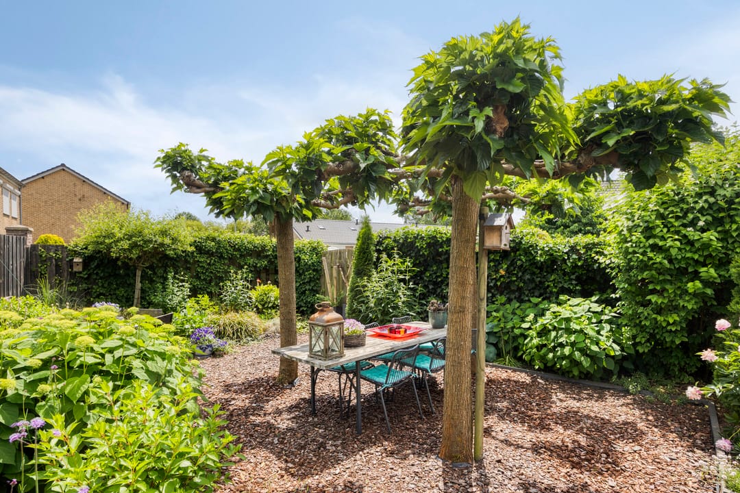 Photo 2 of Rijksweg Noord 52