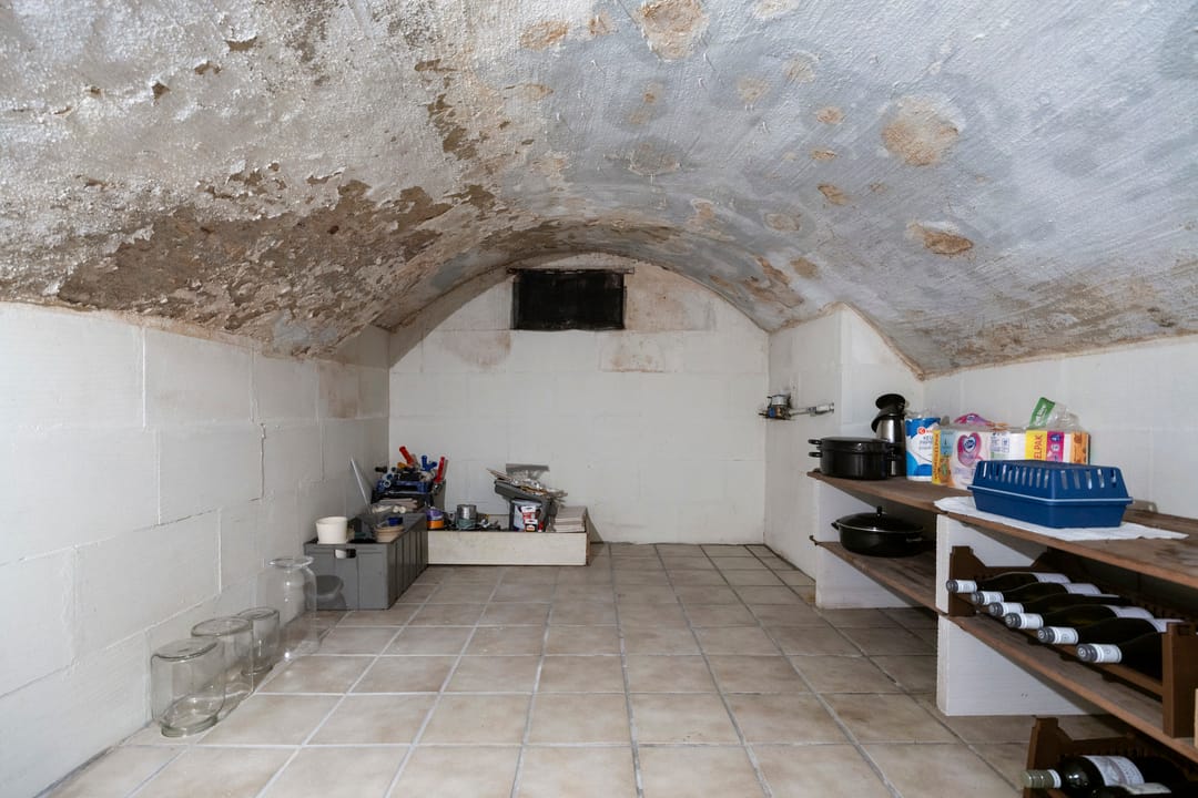 Photo 16 of Rijksweg Noord 52