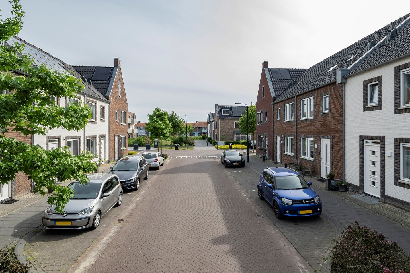 Foto 4 van Opaline 5