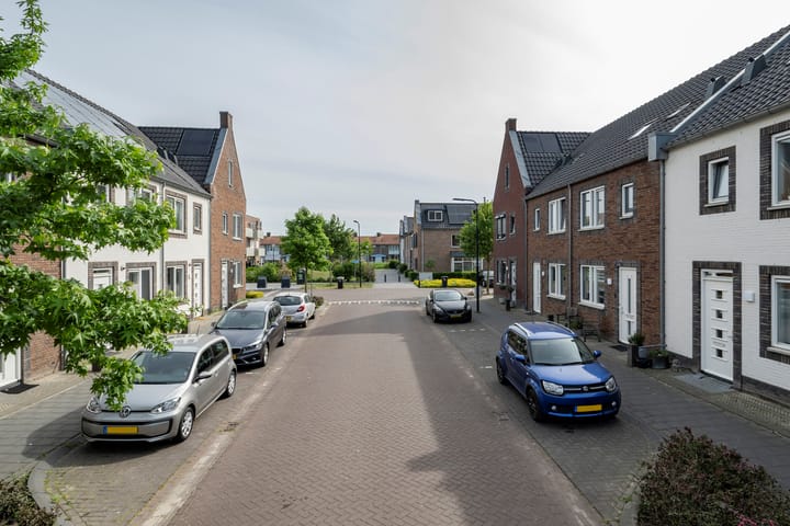 Foto 4 van Opaline 5