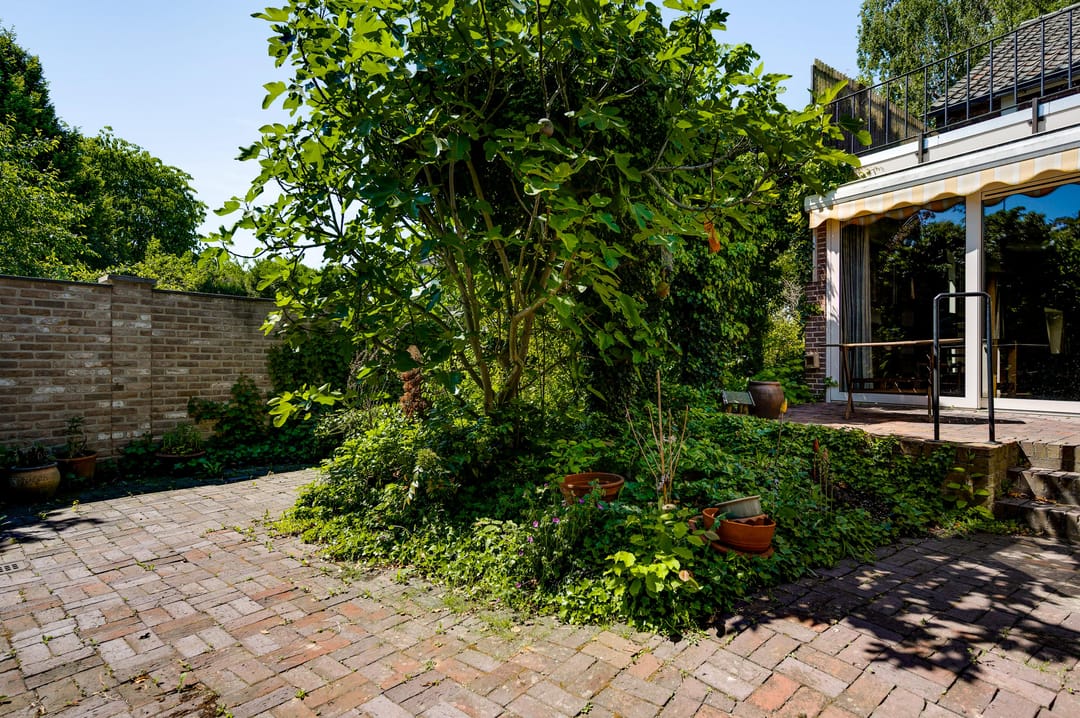 Foto 17 van Hambeek 31