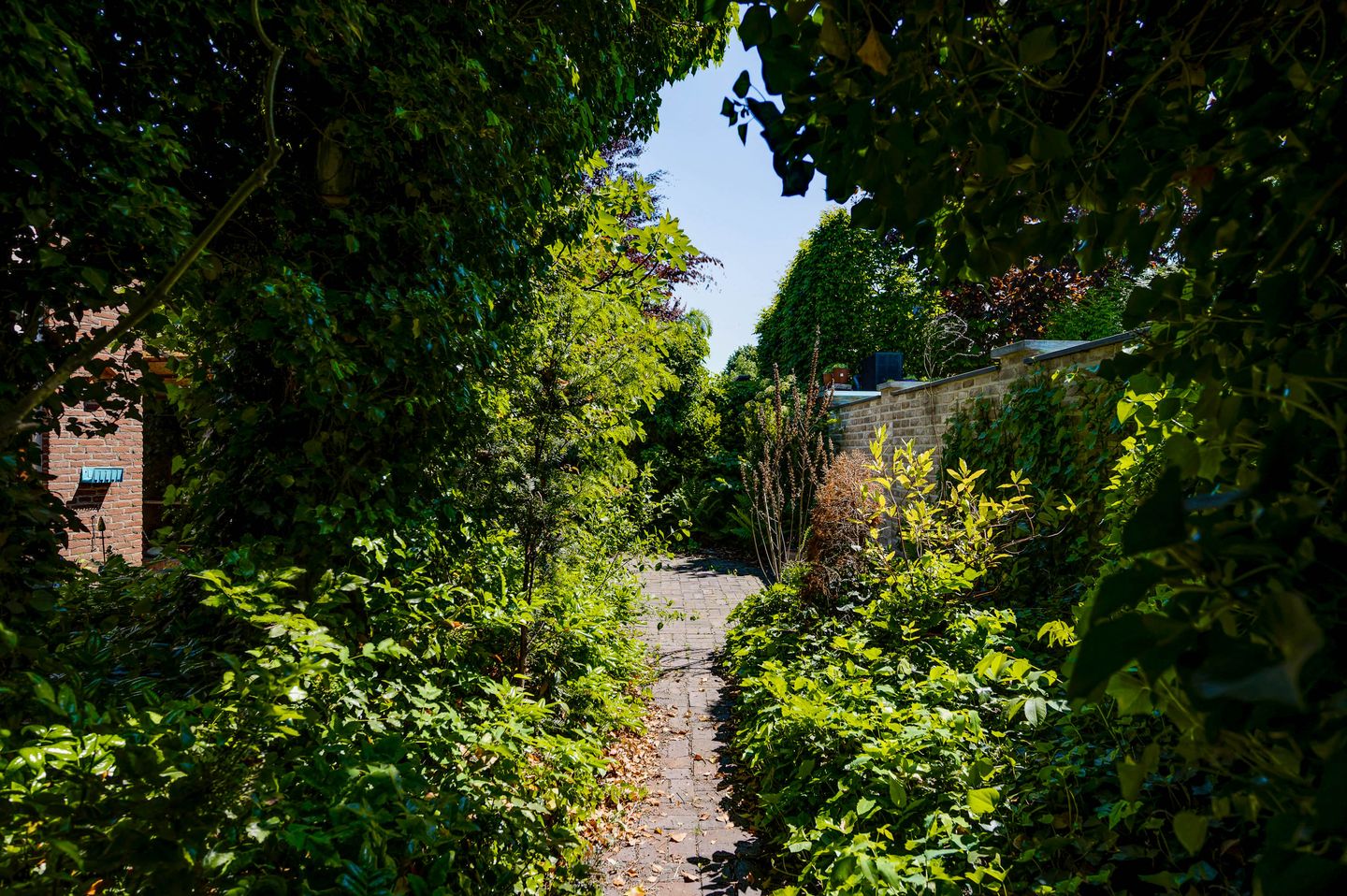 Foto 19 van Hambeek 31