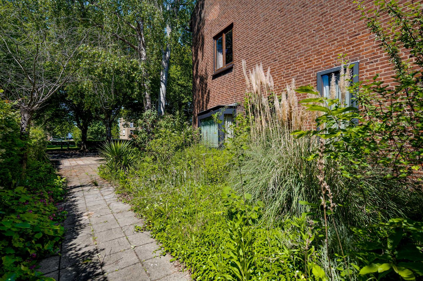 Foto 20 van Hambeek 31