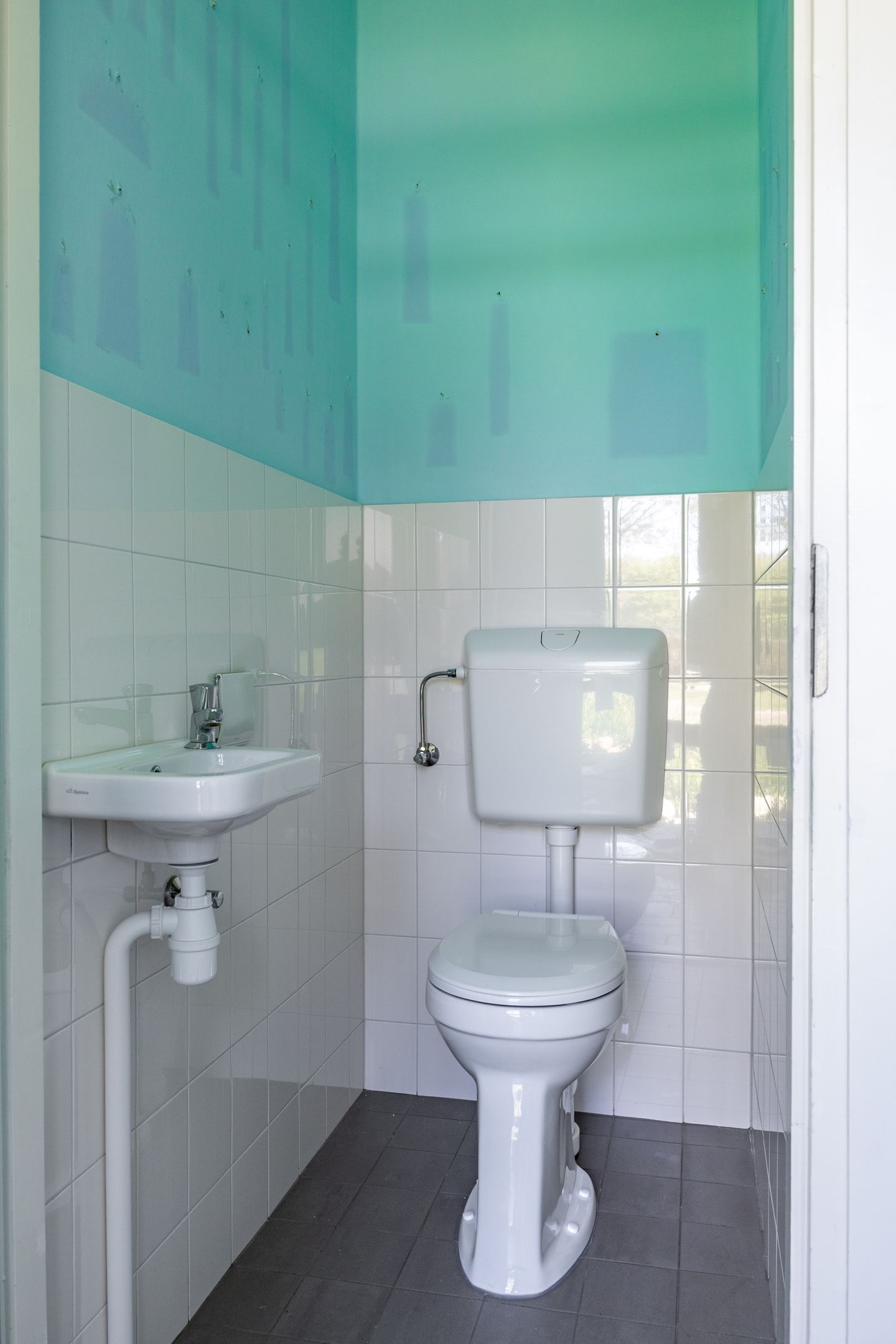 Foto 5 van Singelhorn 3