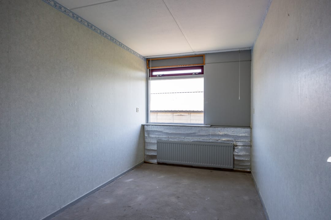 Foto 17 van Singelhorn 3