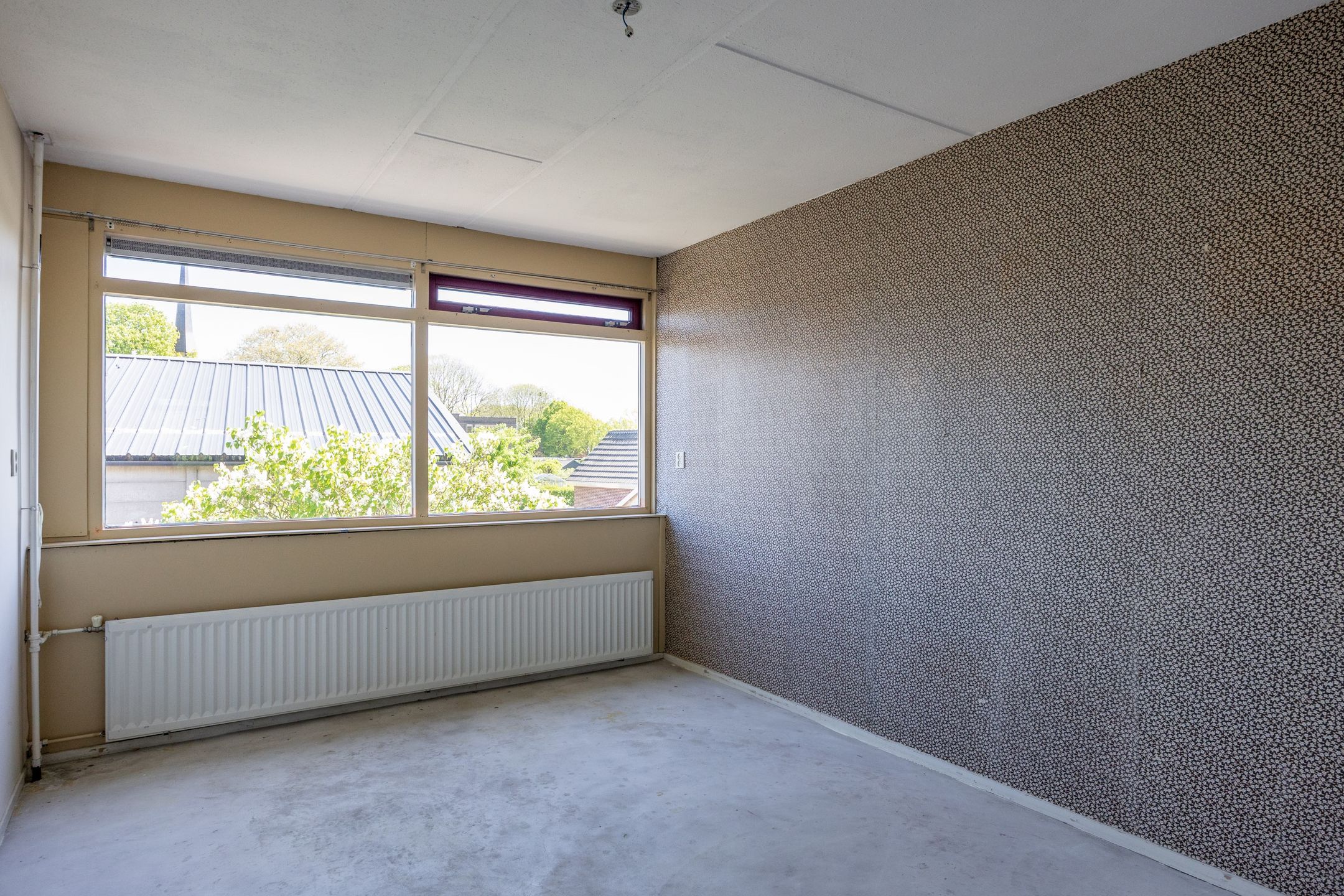 Foto 18 van Singelhorn 3