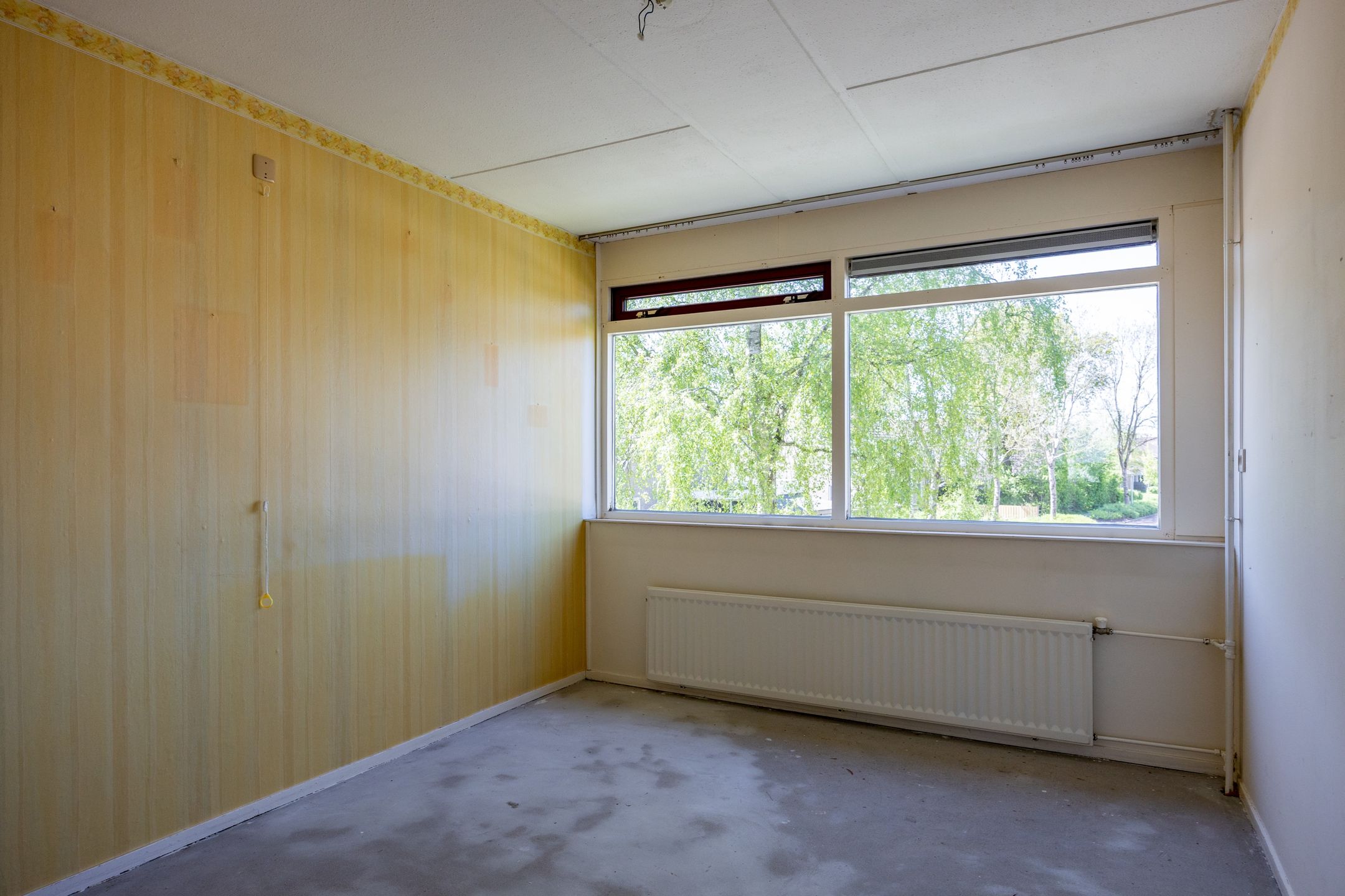 Foto 21 van Singelhorn 3