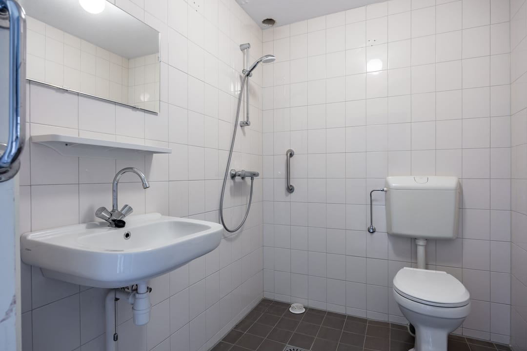 Foto 22 van Singelhorn 3