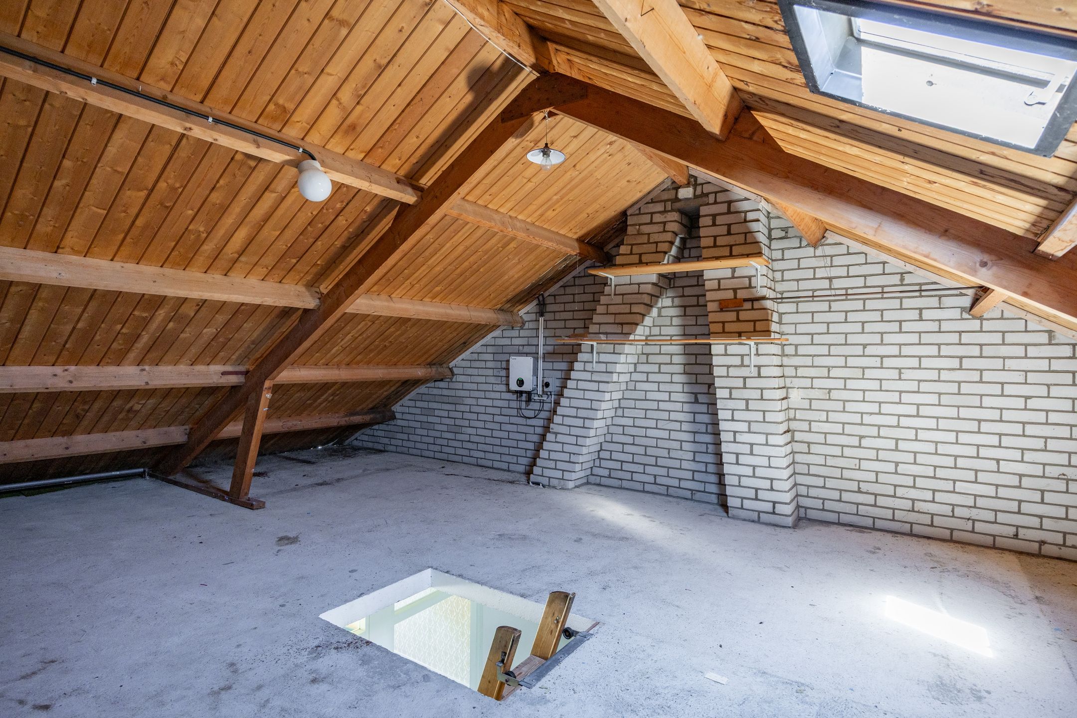 Foto 24 van Singelhorn 3