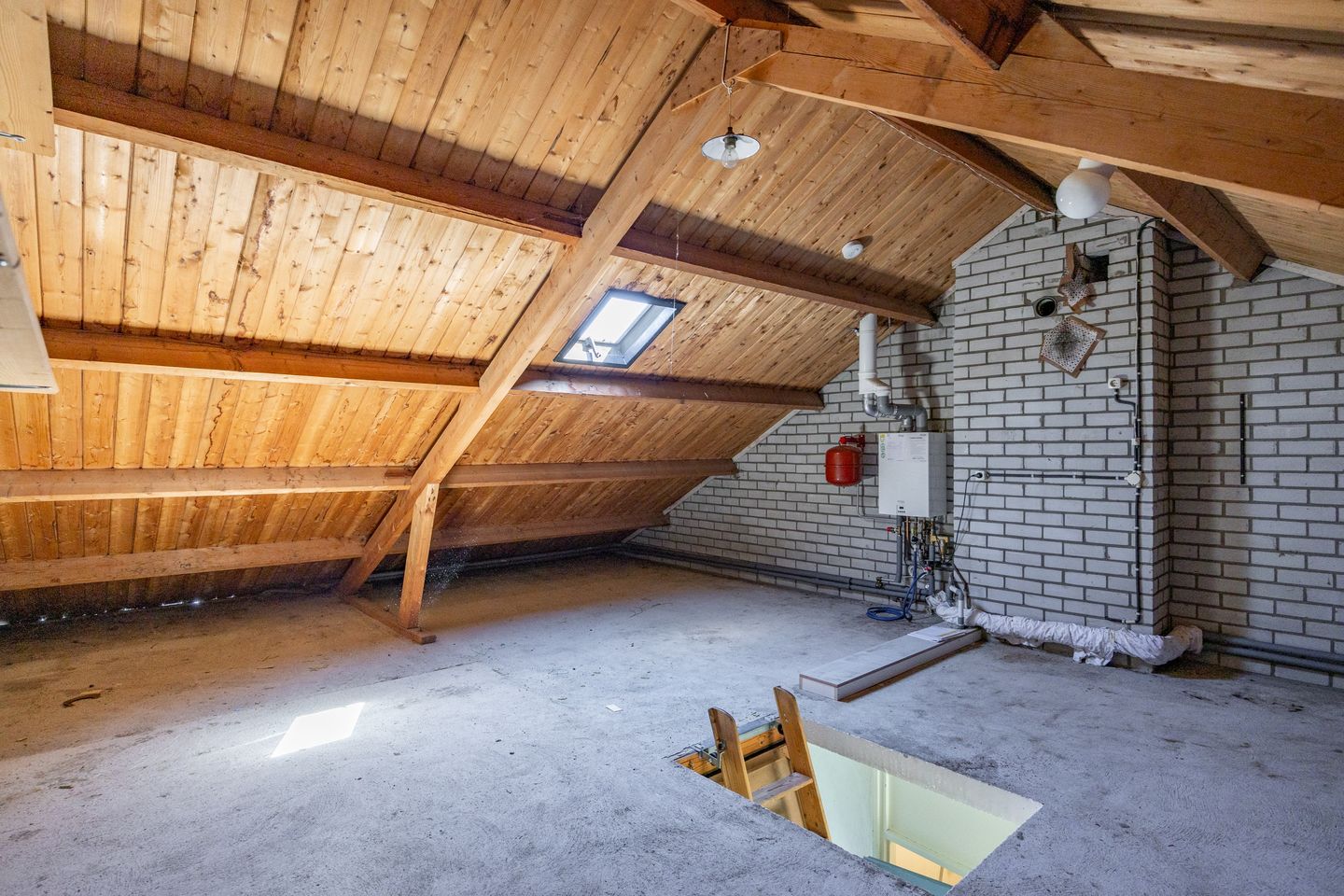 Foto 25 van Singelhorn 3