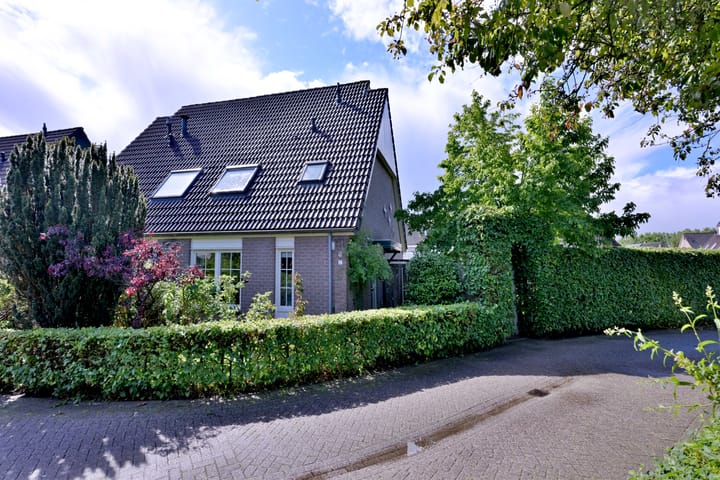 Foto 1 van Teunisbloem 2